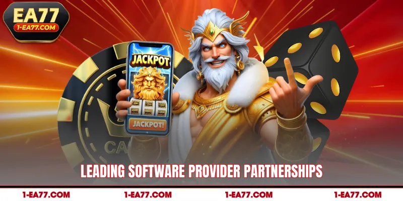 Leading software provider partnerships