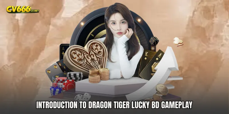 Introduction to Dragon Tiger Lucky BD Gameplay